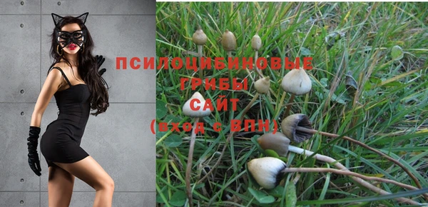 соль ск Орехово-Зуево