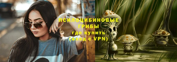 дживик Навашино